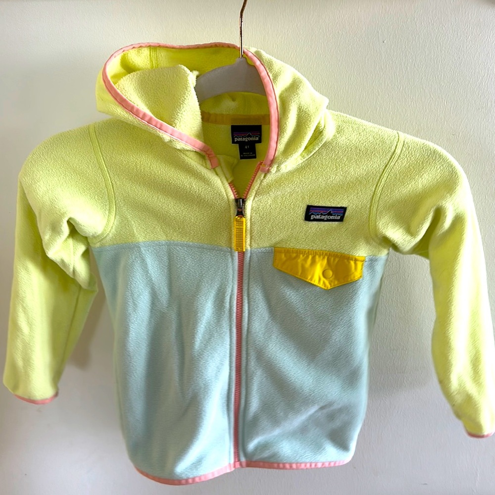 Patagonia little girls fleece Micro D Snap-T fleece